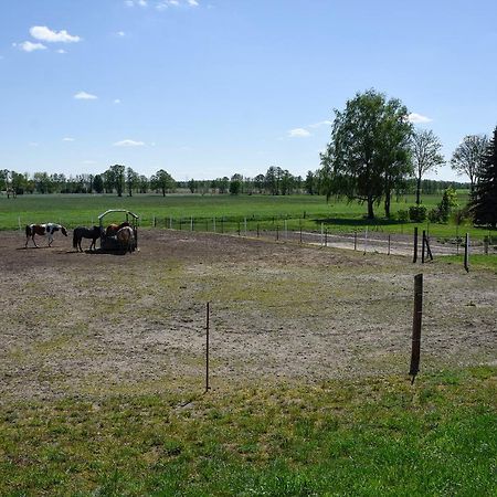 Barrierefreie Ferienwohnung Trueben Bornum Zewnętrze zdjęcie
