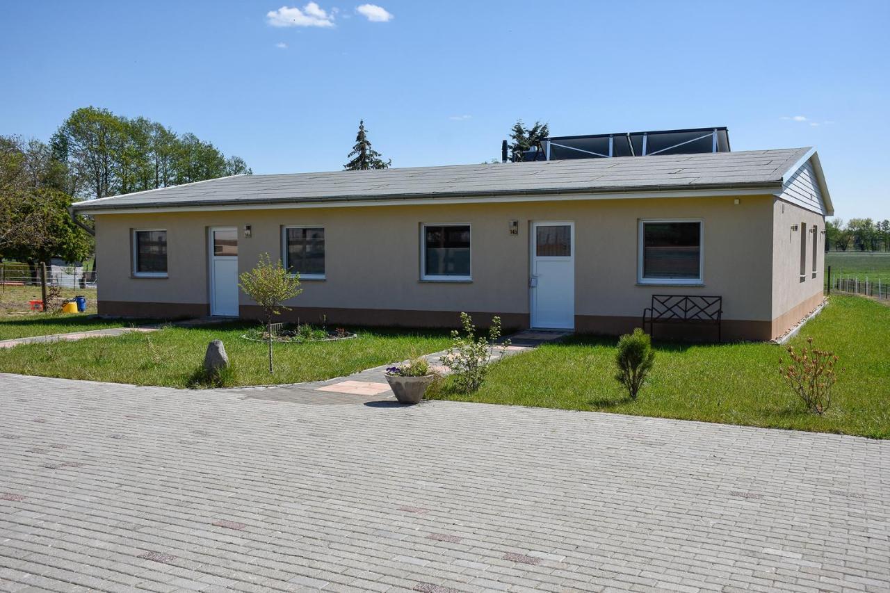 Barrierefreie Ferienwohnung Trueben Bornum Zewnętrze zdjęcie